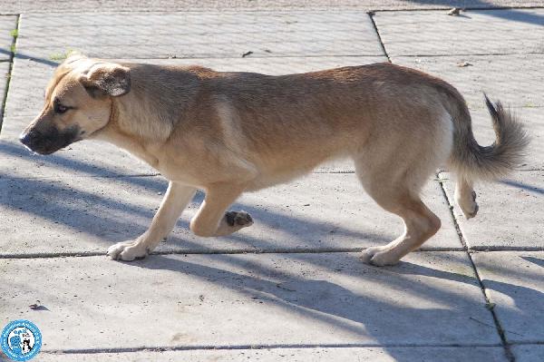 Pam, cerca chi sappia vederla davvero Foto 3